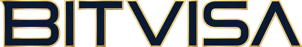 bitvisa logo